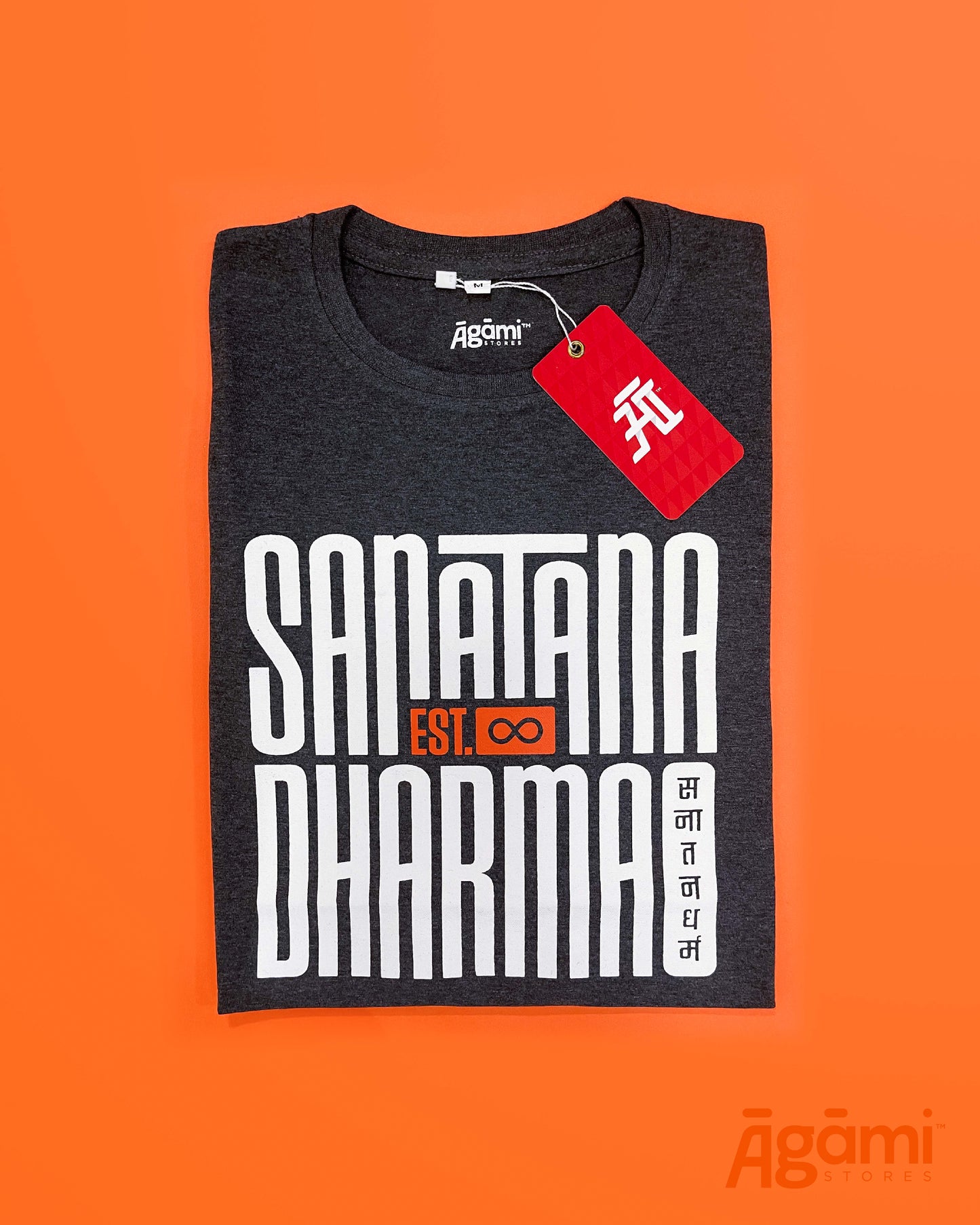 Sanātana Dharma Tshirt - Dark Grey | Regular Fit