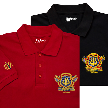 Combo Pack of 2 Polo Tshirts