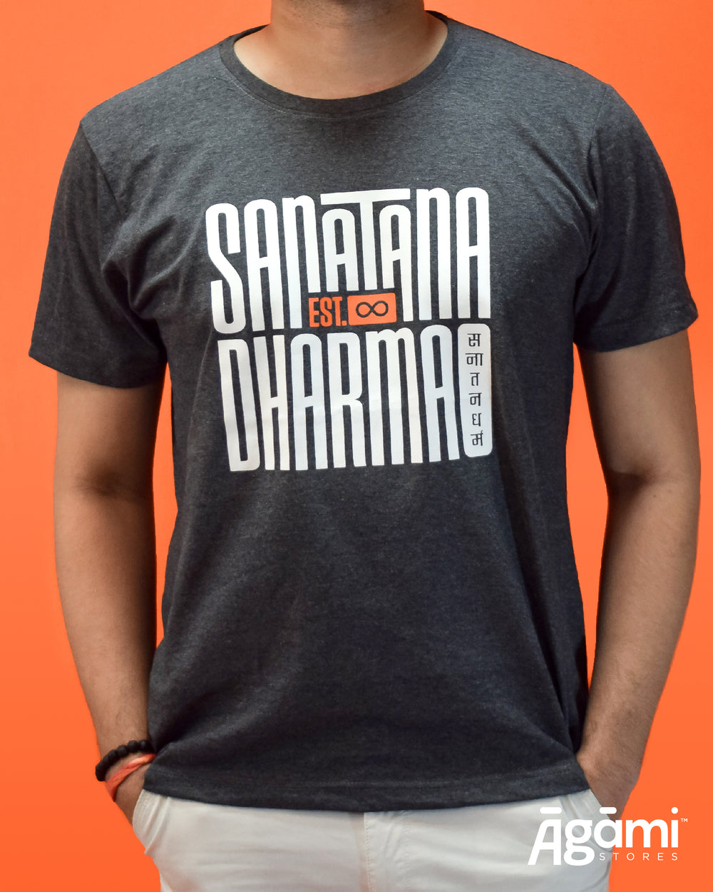 Sanātana Dharma Tshirt - Dark Grey